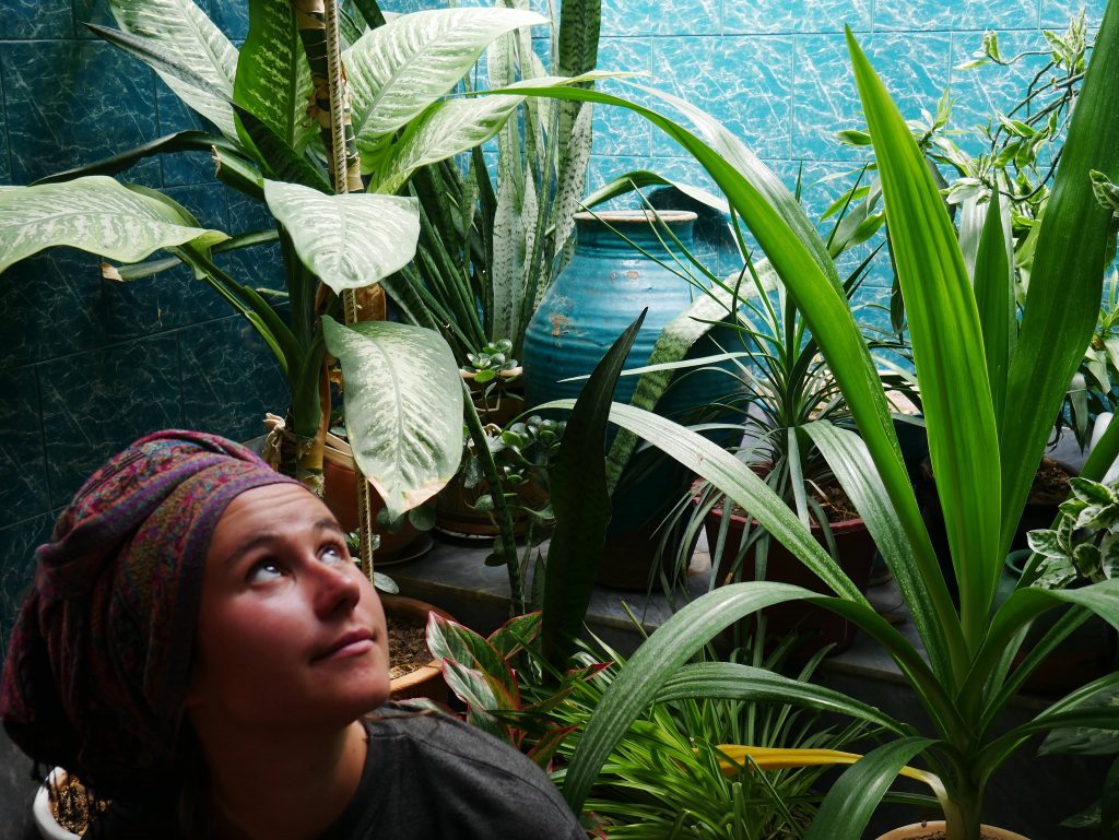 Девушка сидит посреди растений смотрит вверх